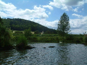 2007-07-30_02 2007-07-30_02
